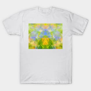 Abstract color triangle geometrical background T-Shirt